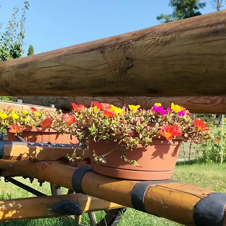 I Girasoli Sanzeno Exterior foto