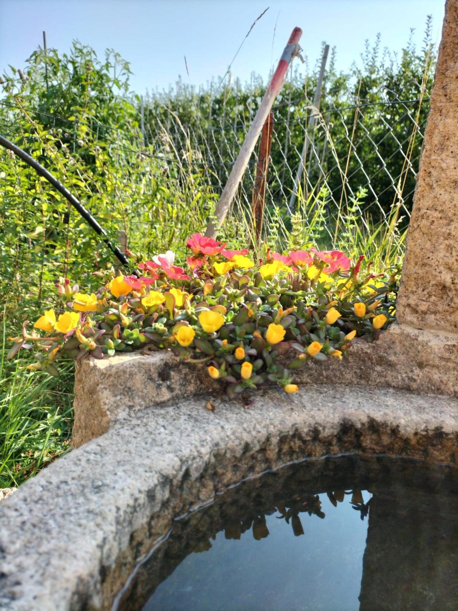 Alojamento de Acomodação e Pequeno-almoço I Girasoli Sanzeno