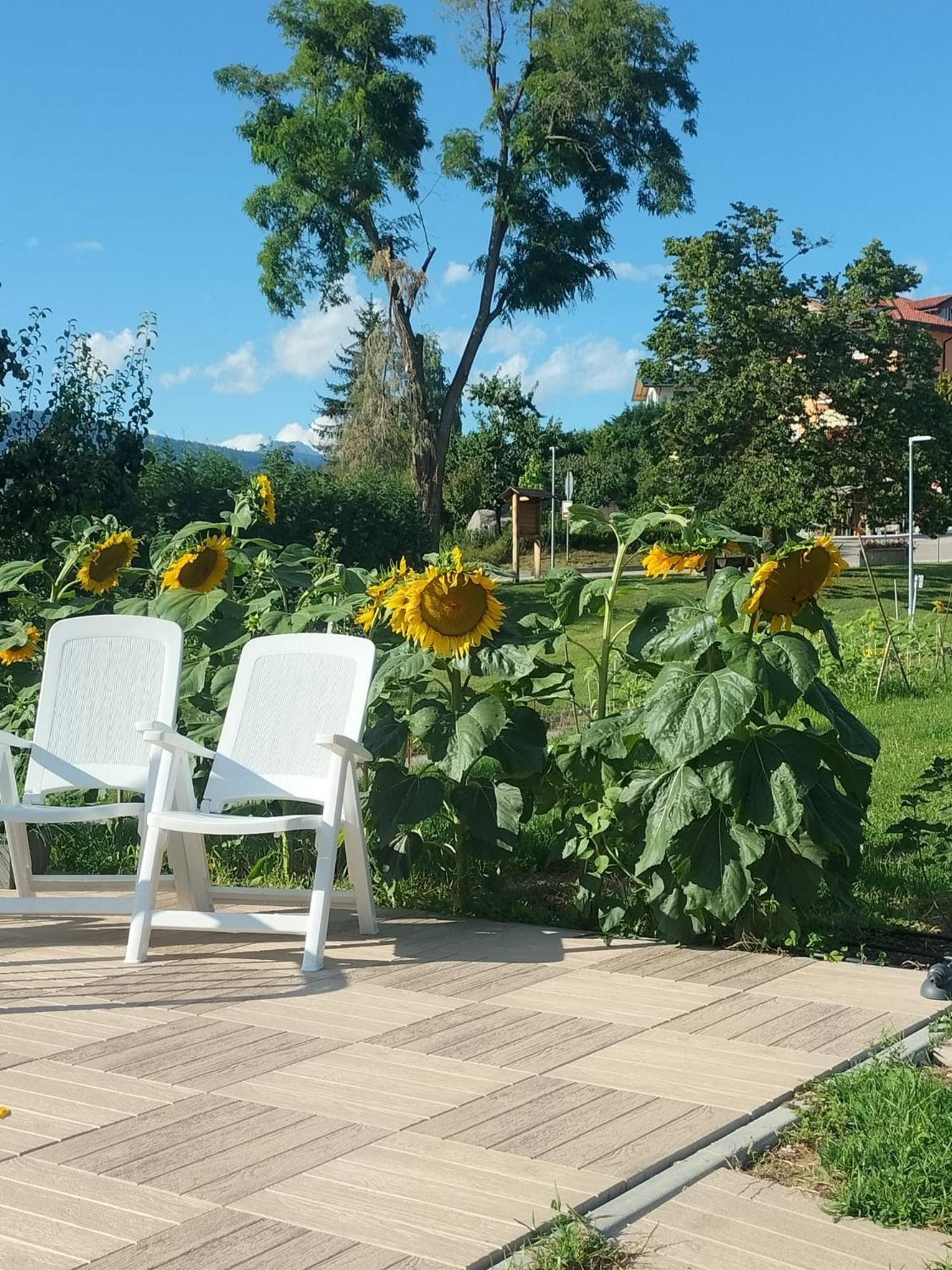 Alojamento de Acomodação e Pequeno-almoço I Girasoli Sanzeno